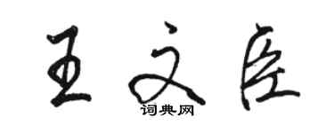 骆恒光王文臣行书个性签名怎么写