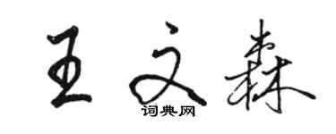 骆恒光王文森行书个性签名怎么写