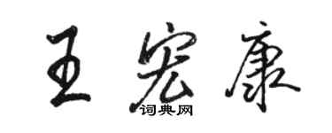 骆恒光王宏康行书个性签名怎么写