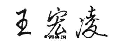 骆恒光王宏凌行书个性签名怎么写