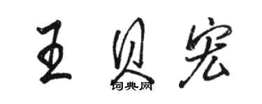 骆恒光王贝宏行书个性签名怎么写