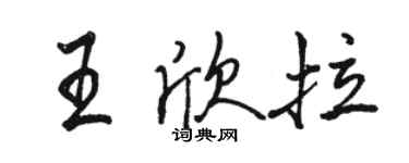 骆恒光王欣拉行书个性签名怎么写