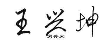骆恒光王兴坤行书个性签名怎么写