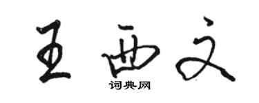 骆恒光王西文行书个性签名怎么写
