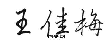 骆恒光王佳梅行书个性签名怎么写