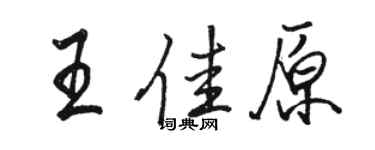 骆恒光王佳原行书个性签名怎么写