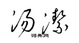 梁锦英汤洁草书个性签名怎么写