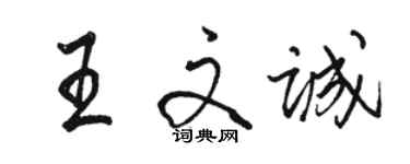 骆恒光王文诚行书个性签名怎么写