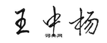 骆恒光王中杨行书个性签名怎么写