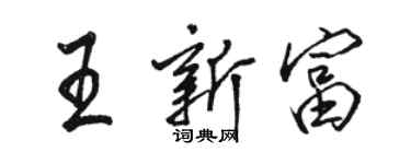 骆恒光王新富行书个性签名怎么写