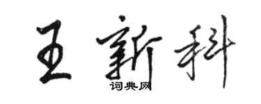 骆恒光王新科行书个性签名怎么写