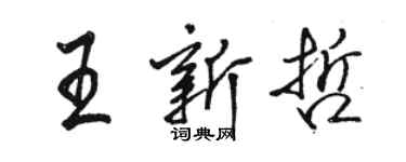 骆恒光王新哲行书个性签名怎么写