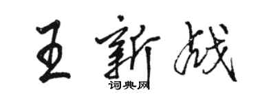 骆恒光王新战行书个性签名怎么写