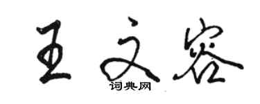 骆恒光王文容行书个性签名怎么写