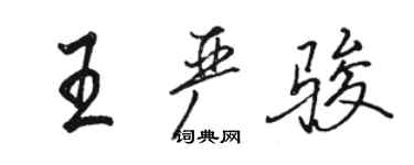 骆恒光王严骏行书个性签名怎么写