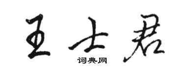 骆恒光王士君行书个性签名怎么写