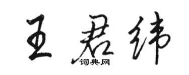 骆恒光王君纬行书个性签名怎么写