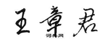 骆恒光王章君行书个性签名怎么写