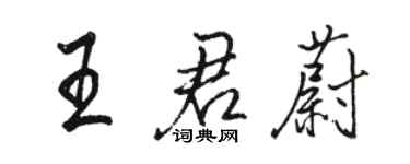 骆恒光王君蔚行书个性签名怎么写