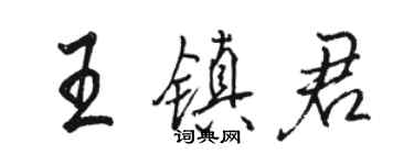 骆恒光王镇君行书个性签名怎么写