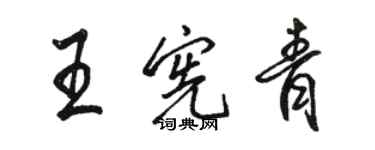 骆恒光王宪青行书个性签名怎么写