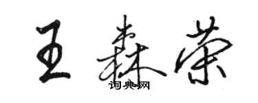 骆恒光王森荣行书个性签名怎么写