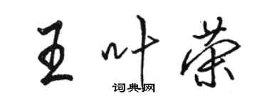骆恒光王叶荣行书个性签名怎么写