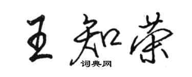 骆恒光王知荣行书个性签名怎么写