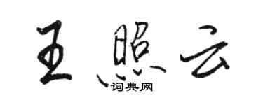 骆恒光王照云行书个性签名怎么写