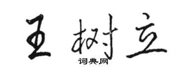 骆恒光王树立行书个性签名怎么写