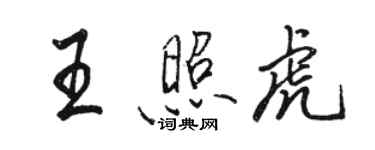 骆恒光王照虎行书个性签名怎么写