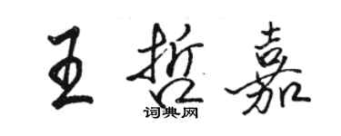 骆恒光王哲嘉行书个性签名怎么写
