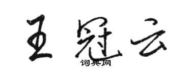 骆恒光王冠云行书个性签名怎么写