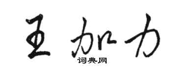 骆恒光王加力行书个性签名怎么写