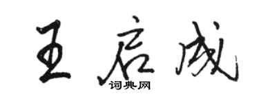 骆恒光王启成行书个性签名怎么写