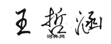 骆恒光王哲涵行书个性签名怎么写