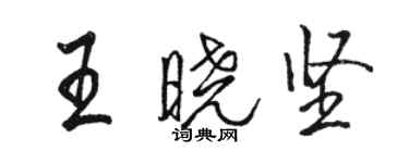 骆恒光王晓坚行书个性签名怎么写