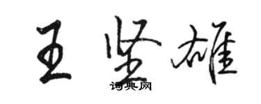 骆恒光王坚雄行书个性签名怎么写