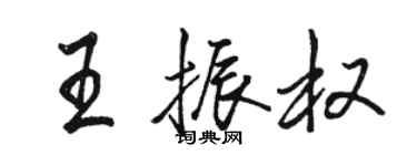 骆恒光王振权行书个性签名怎么写
