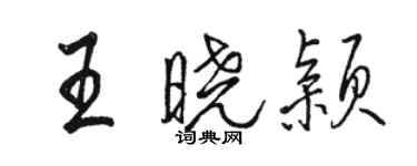 骆恒光王晓颖行书个性签名怎么写