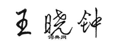 骆恒光王晓钟行书个性签名怎么写