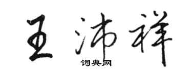 骆恒光王沛祥行书个性签名怎么写