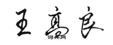 骆恒光王高良行书个性签名怎么写