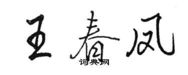 骆恒光王春凤行书个性签名怎么写