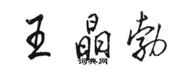 骆恒光王晶勃行书个性签名怎么写