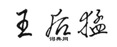 骆恒光王后猛行书个性签名怎么写