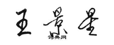 骆恒光王景星行书个性签名怎么写
