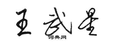 骆恒光王武星行书个性签名怎么写