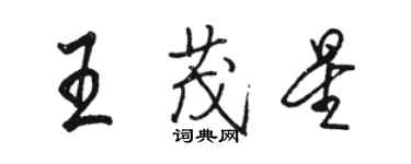 骆恒光王茂星行书个性签名怎么写
