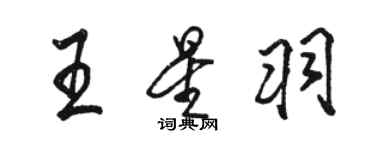 骆恒光王星羽行书个性签名怎么写